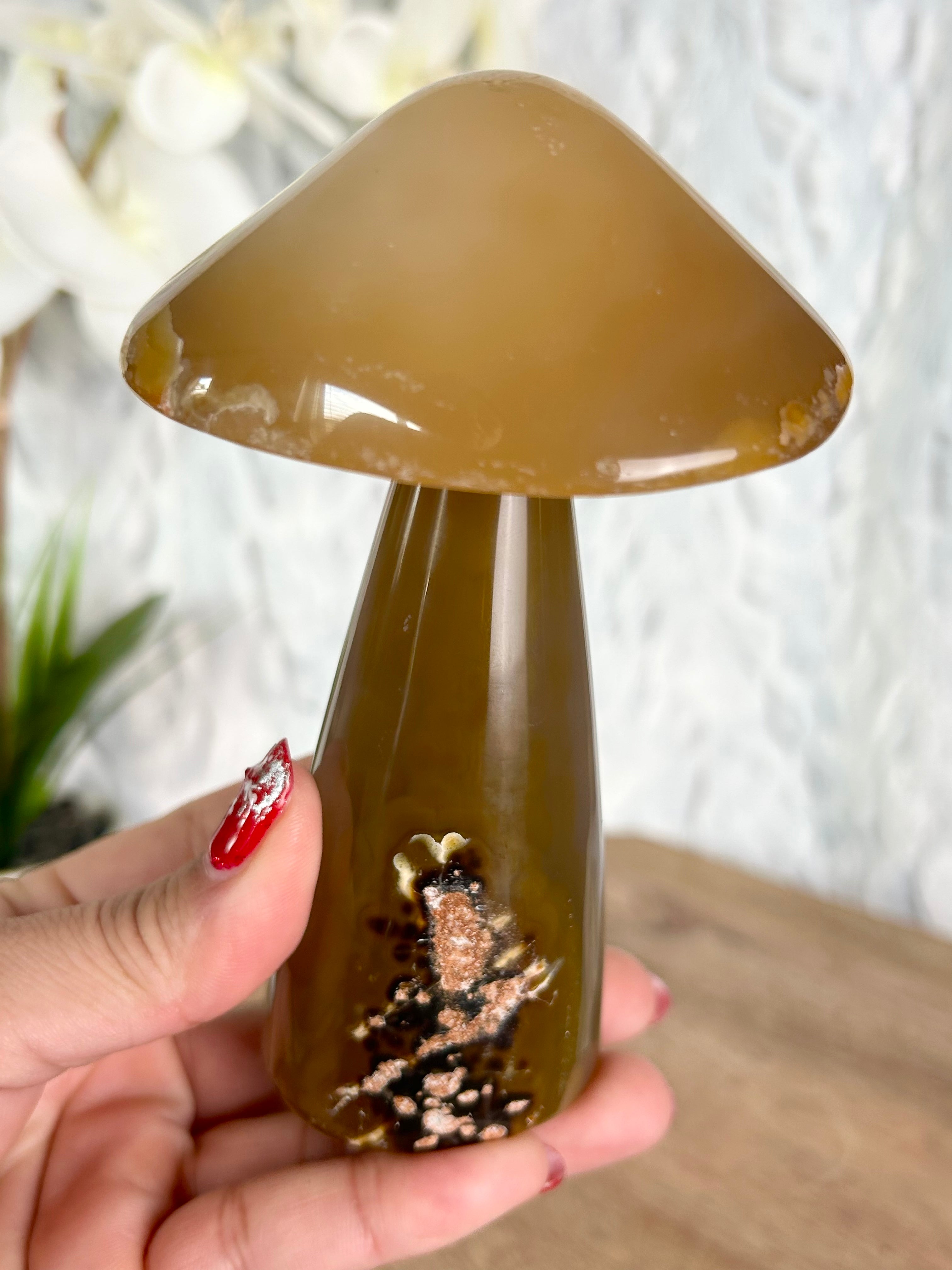 Agate Mushroom