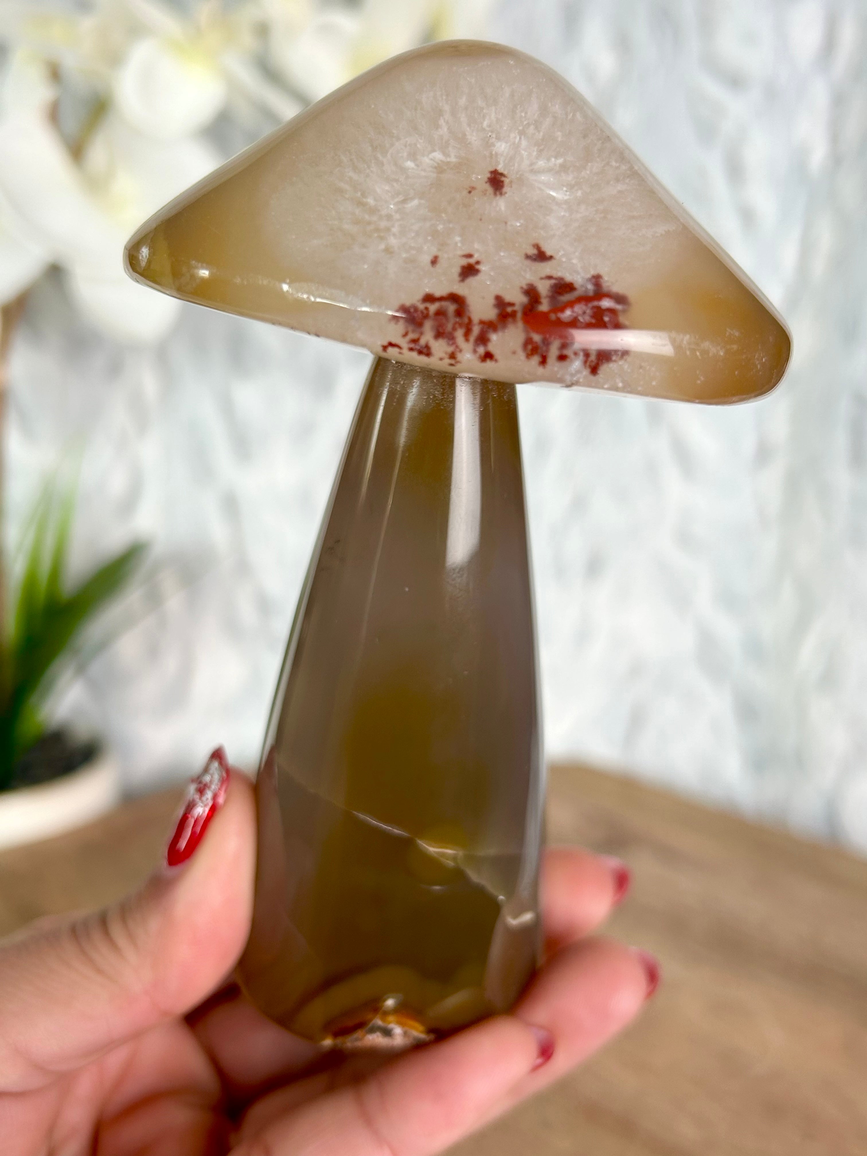 Agate Mushroom