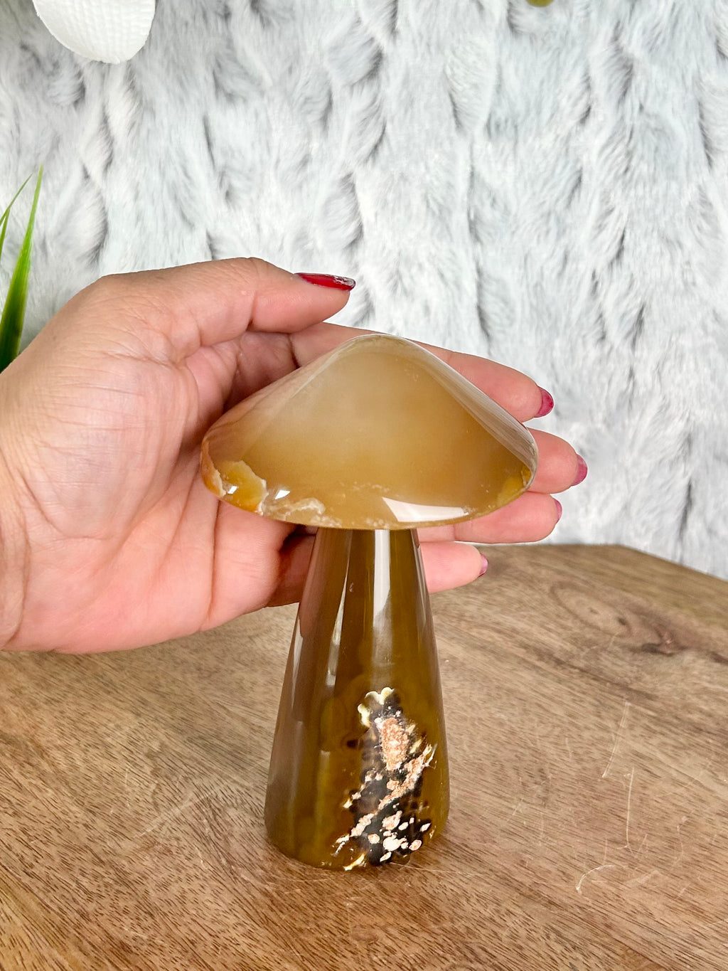 Agate Mushroom