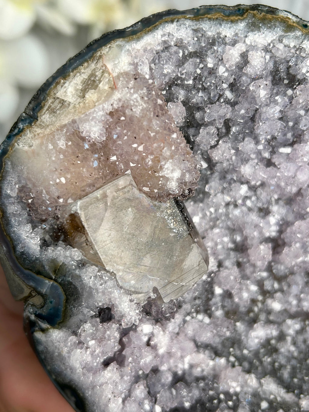 Rare Amethyst Cut Base