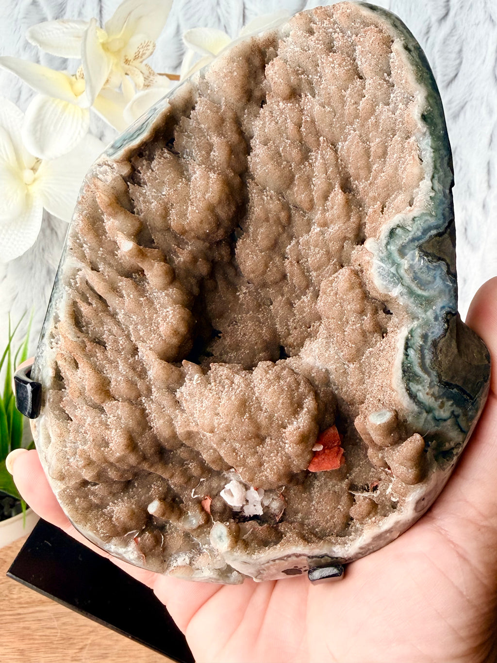 Uruguayan Brown shower formation Chalcedony Agate Geode