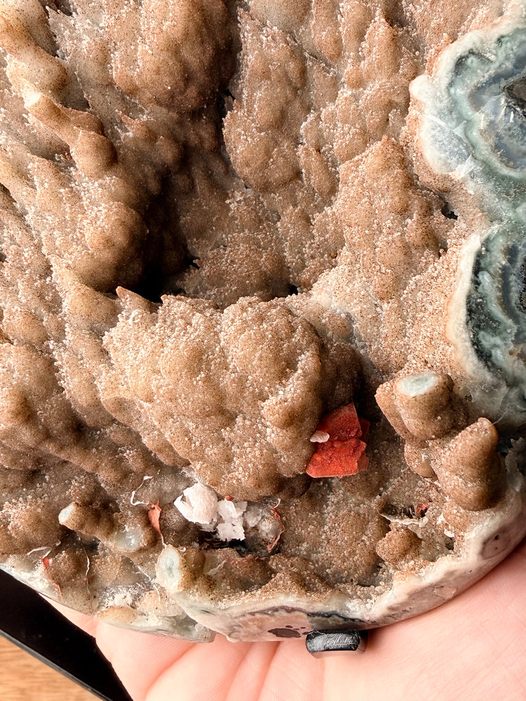 Uruguayan Brown shower formation Chalcedony Agate Geode