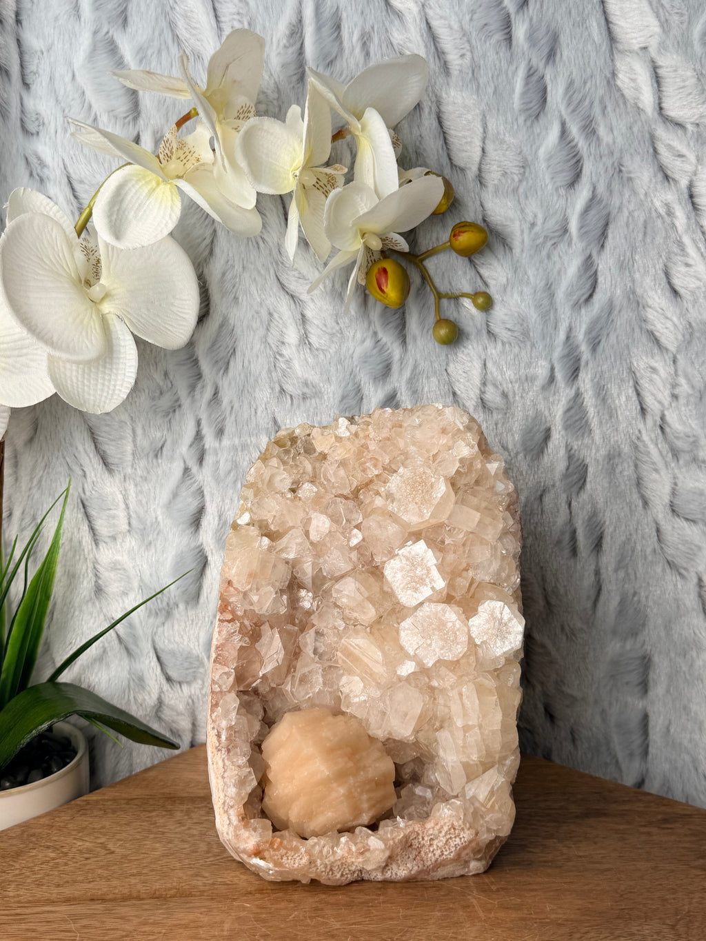 Large Apophyllite Cut Base with a Large Round Stilbite
