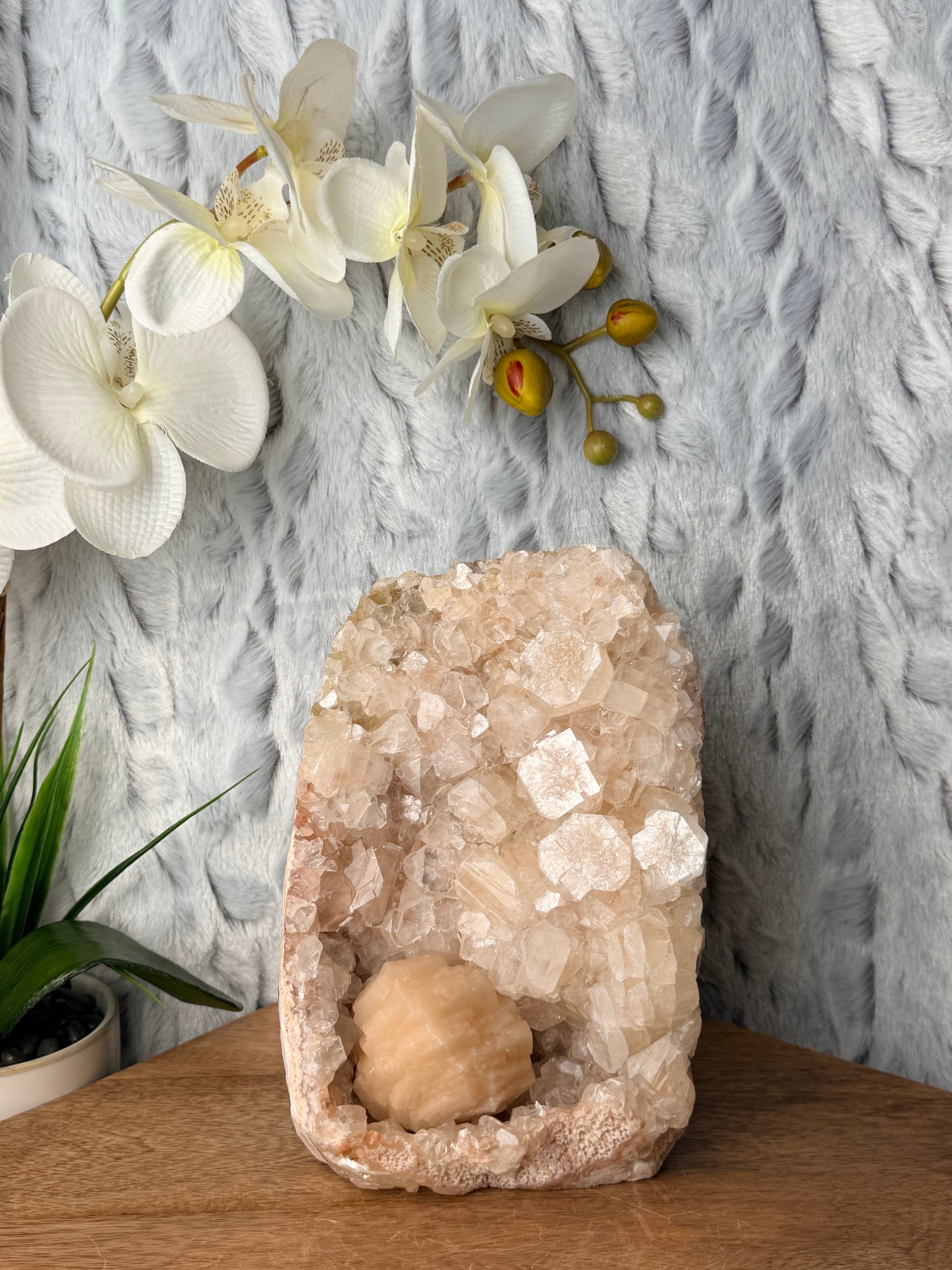Large Apophyllite Cut Base with a Large Round Stilbite
