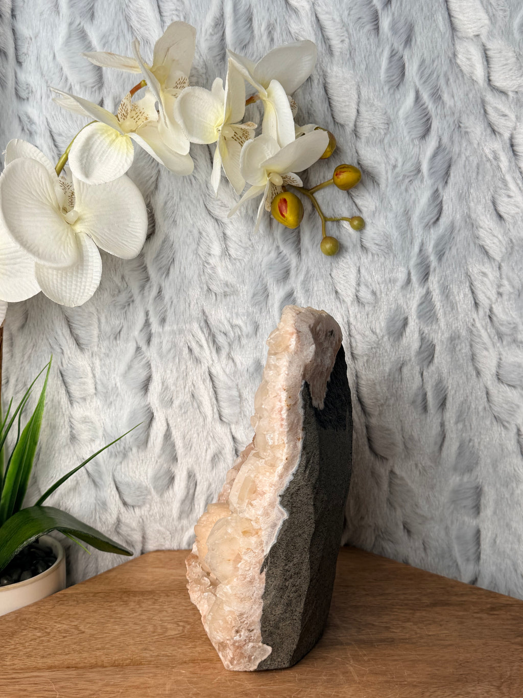 Large Apophyllite Cut Base with a Large Round Stilbite