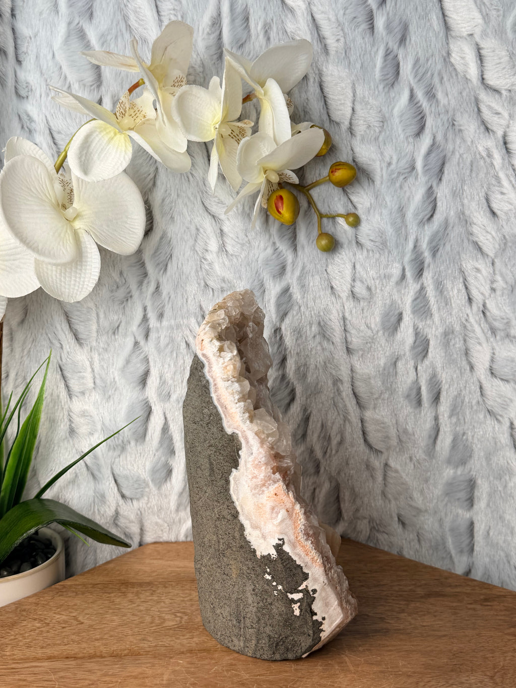 Large Apophyllite Cut Base with a Large Round Stilbite