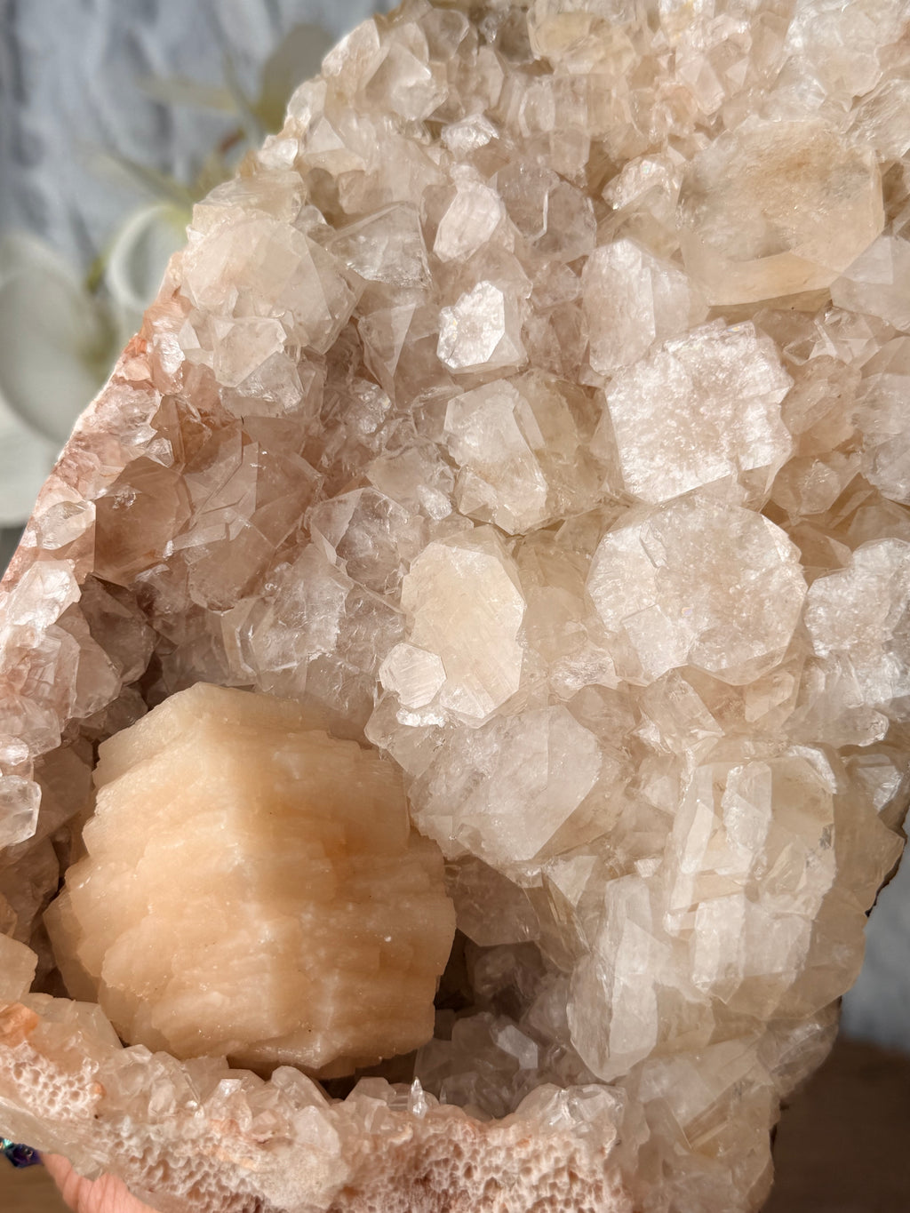 Large Apophyllite Cut Base with a Large Round Stilbite