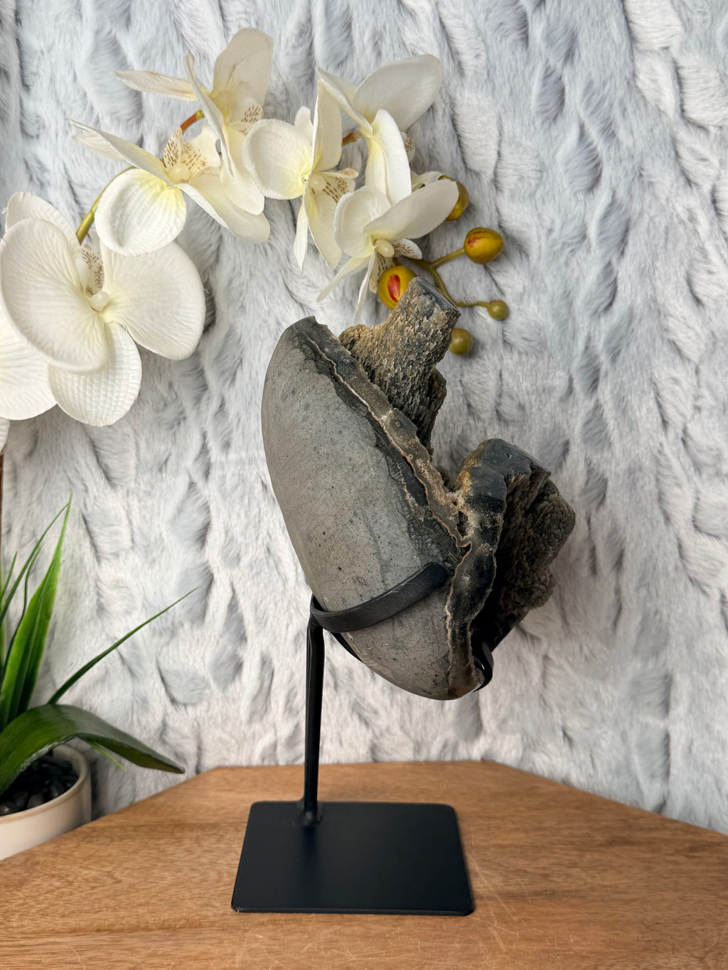 Unique Green Stalactite Formation Geode