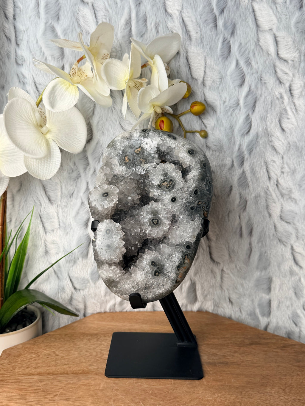 Large Quartzy Green Stalactite Geode