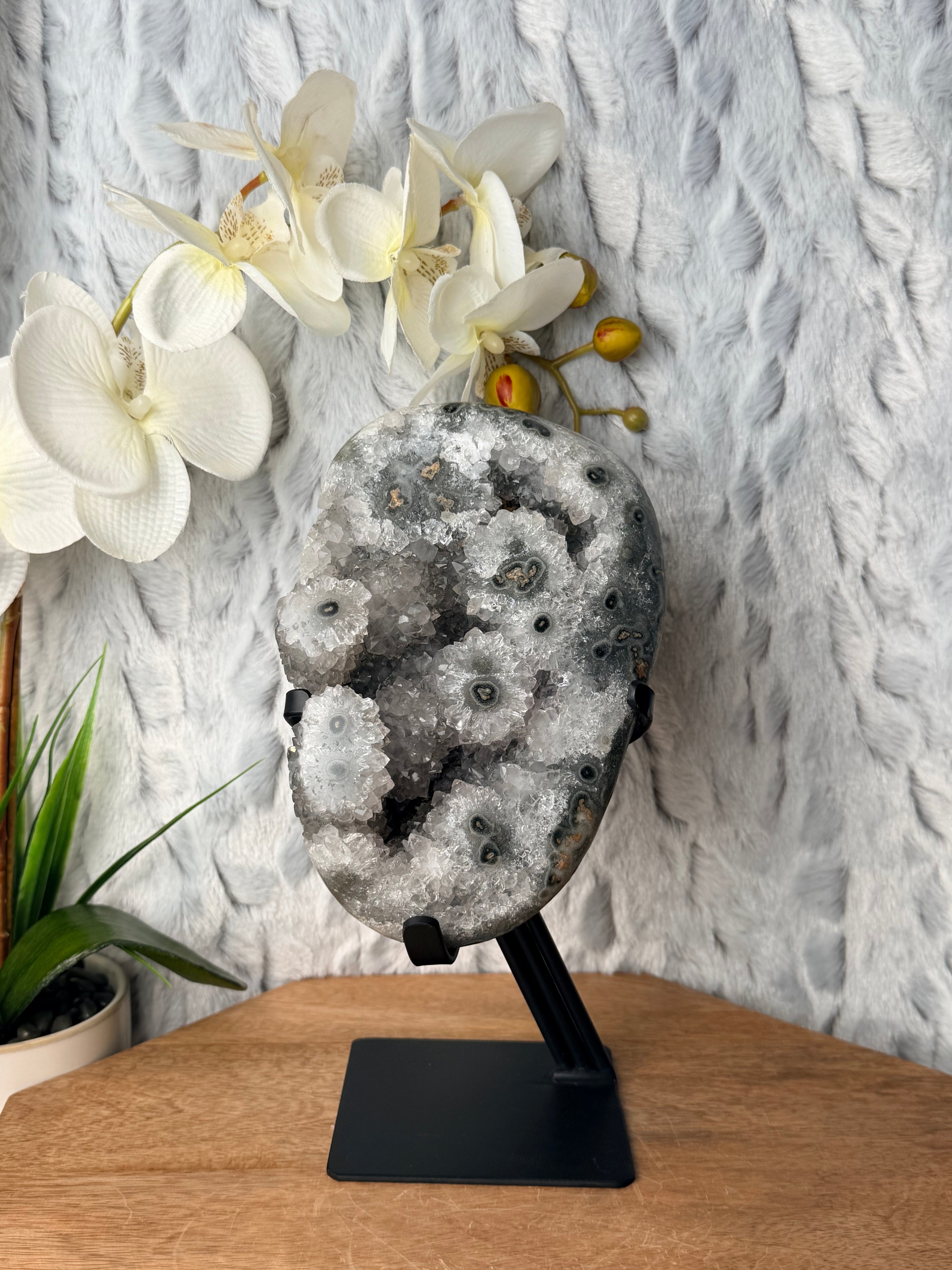 Large Quartzy Green Stalactite Geode