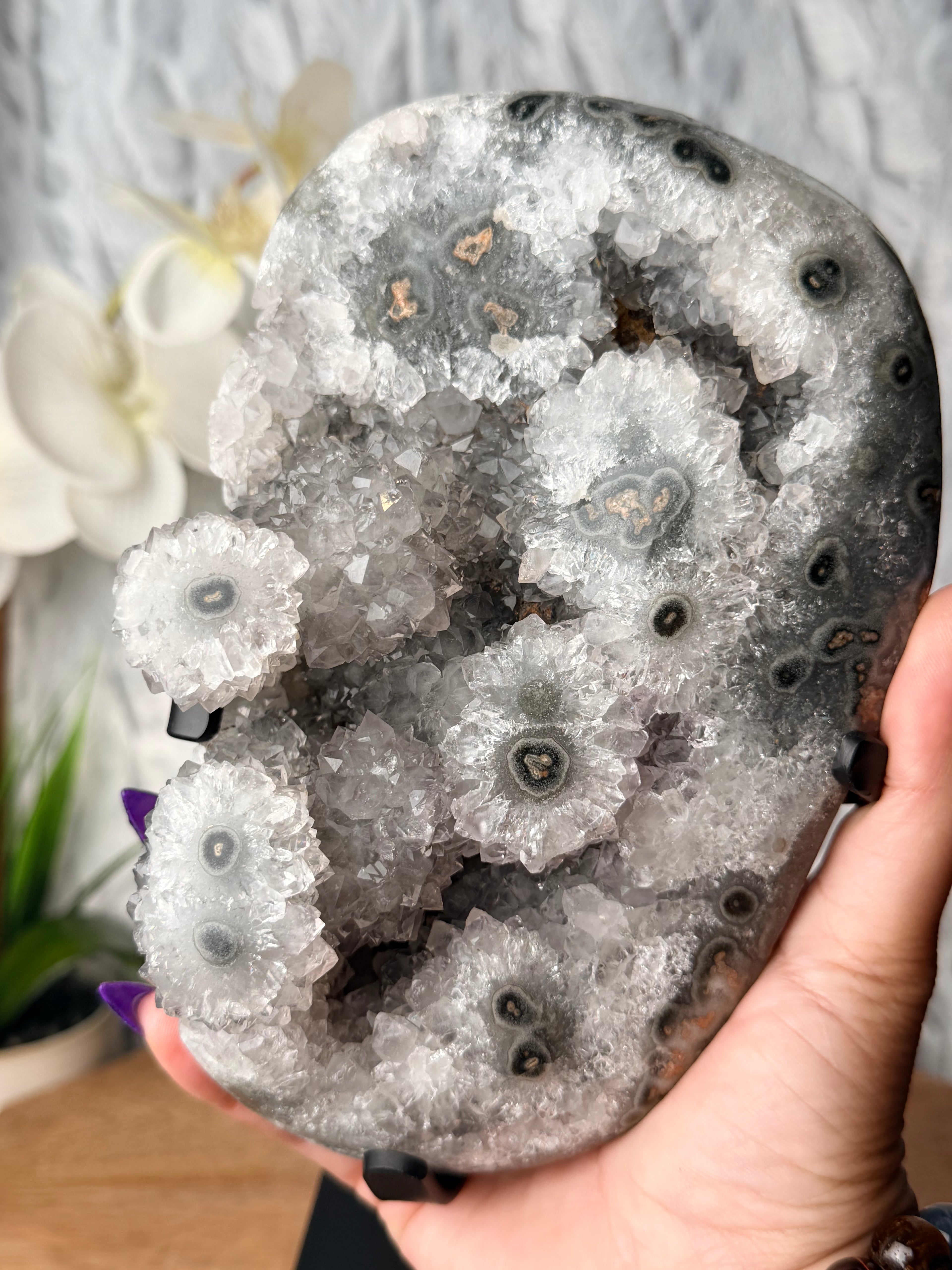 Large Quartzy Green Stalactite Geode