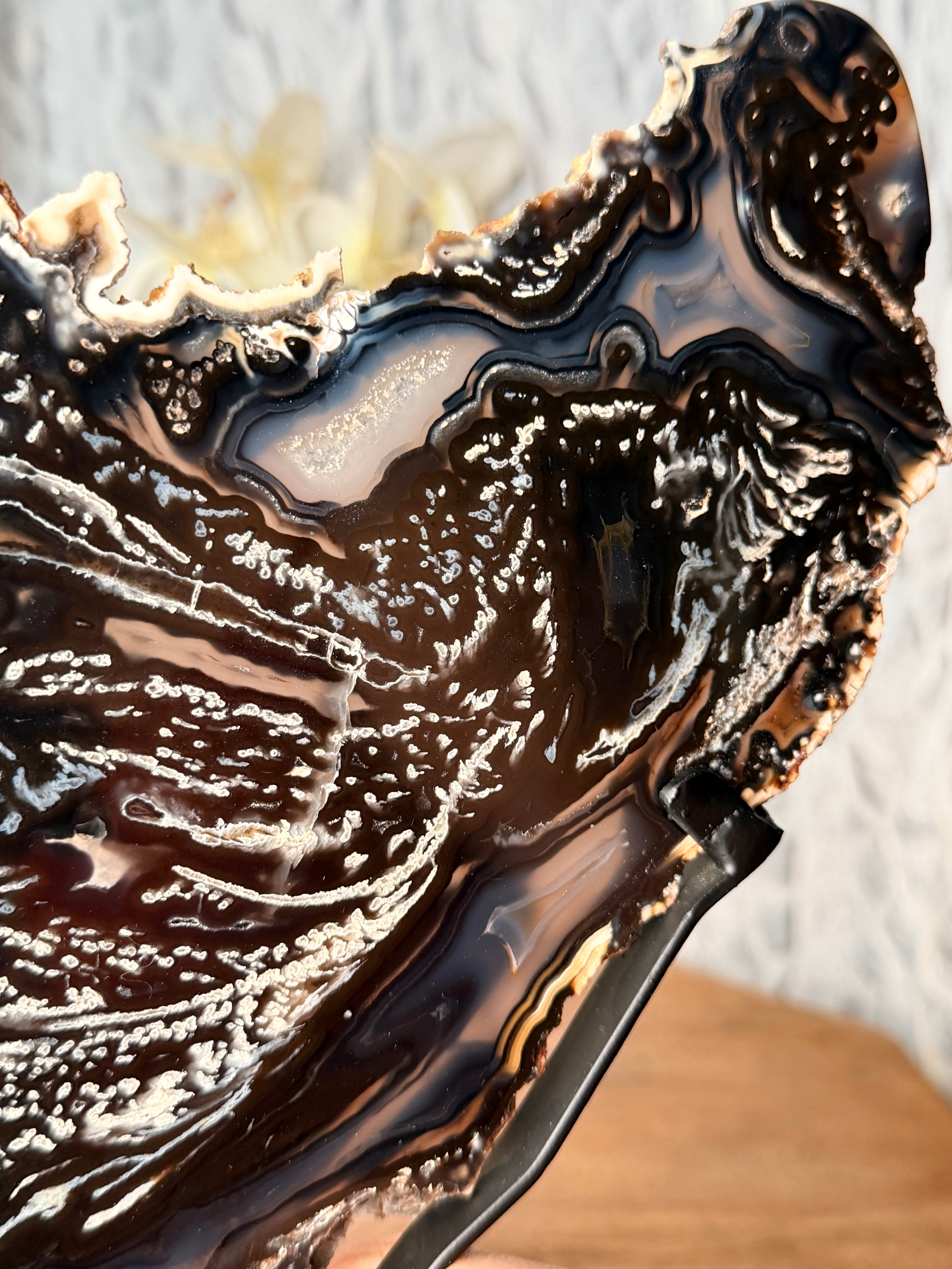Large Black and Blue Agate slice on stand