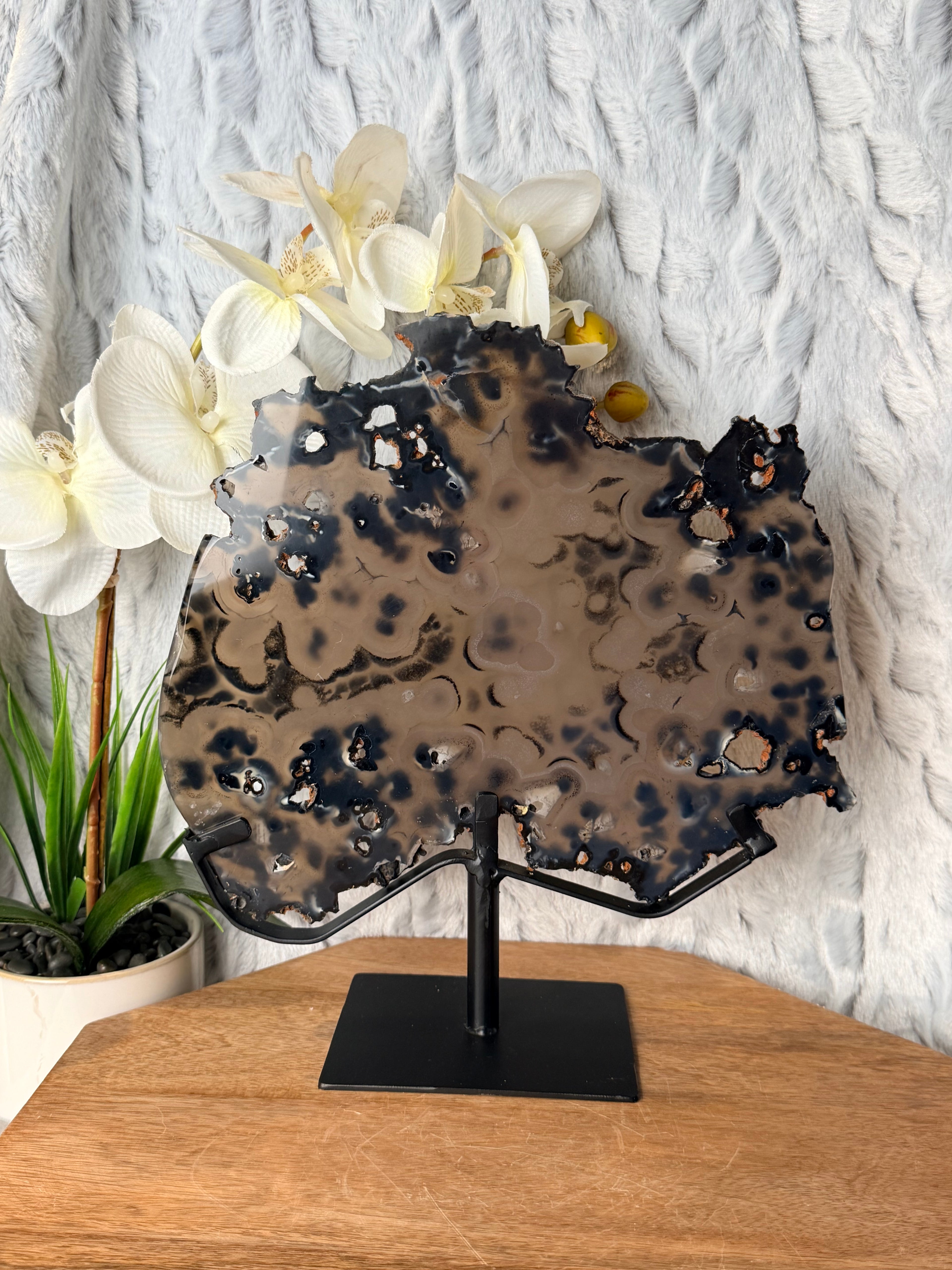 Large Black and Brown Orby Agate slice on stand