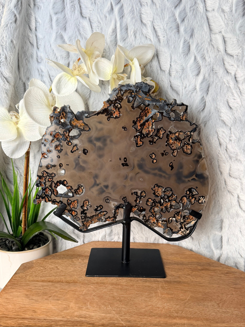 Large Black and Brown Orby Agate slice on stand
