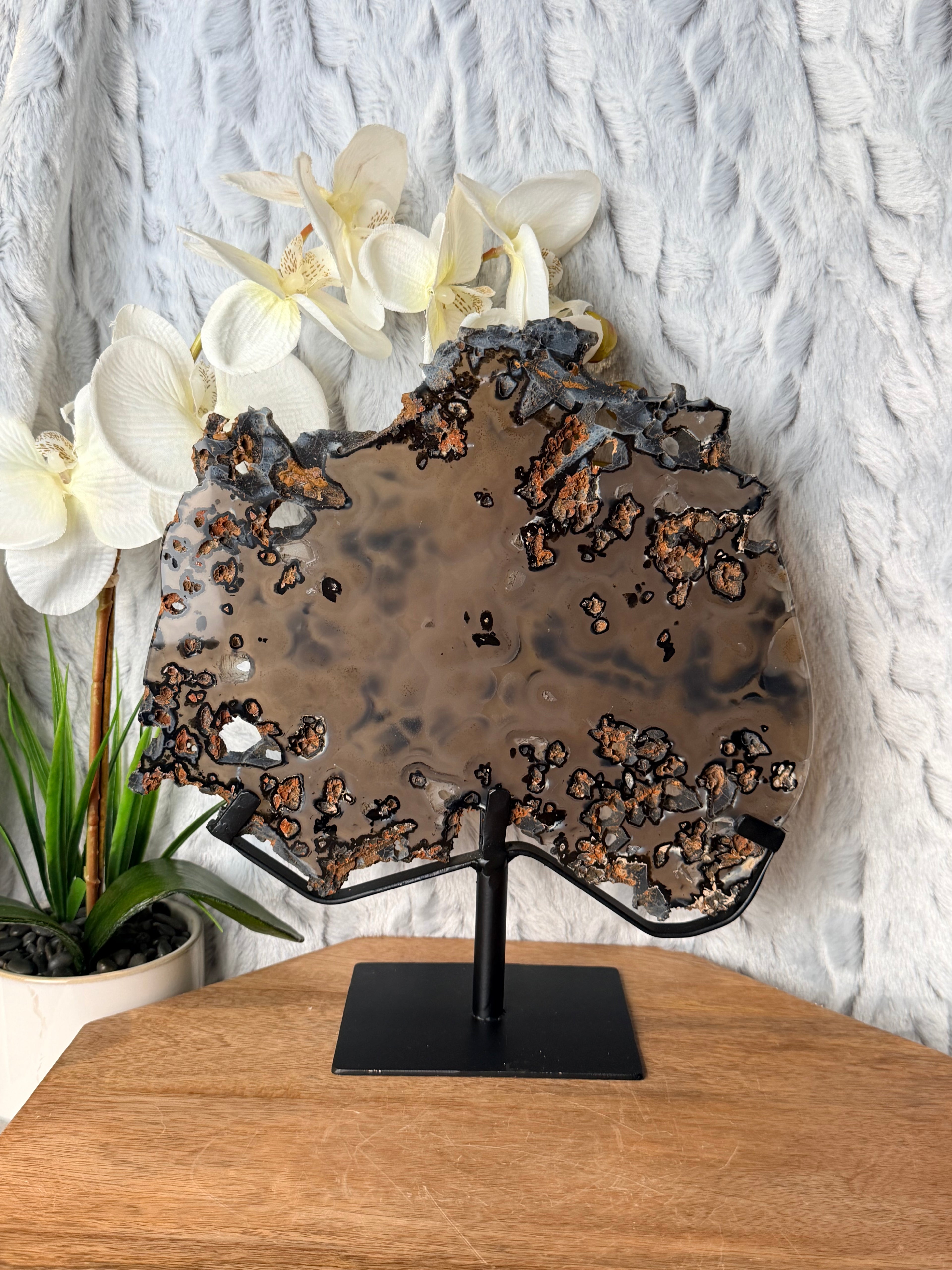 Large Black and Brown Orby Agate slice on stand