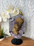 Large Uruguayan Amethyst with Large UV Reactive Calcite with Goethite