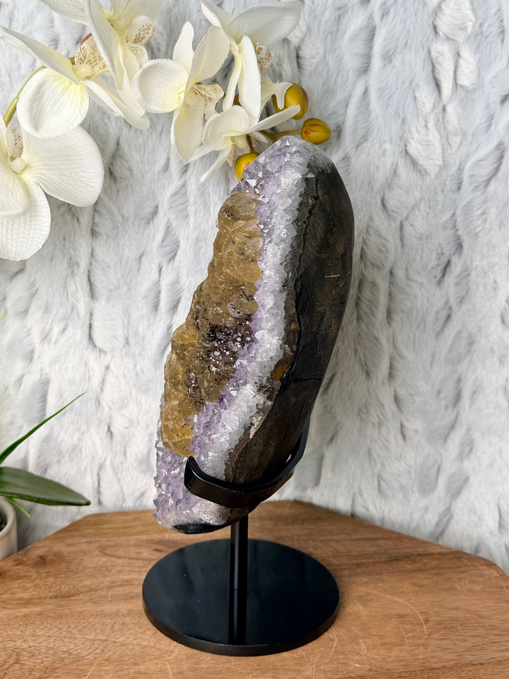 Large Uruguayan Amethyst with Large UV Reactive Calcite with Goethite