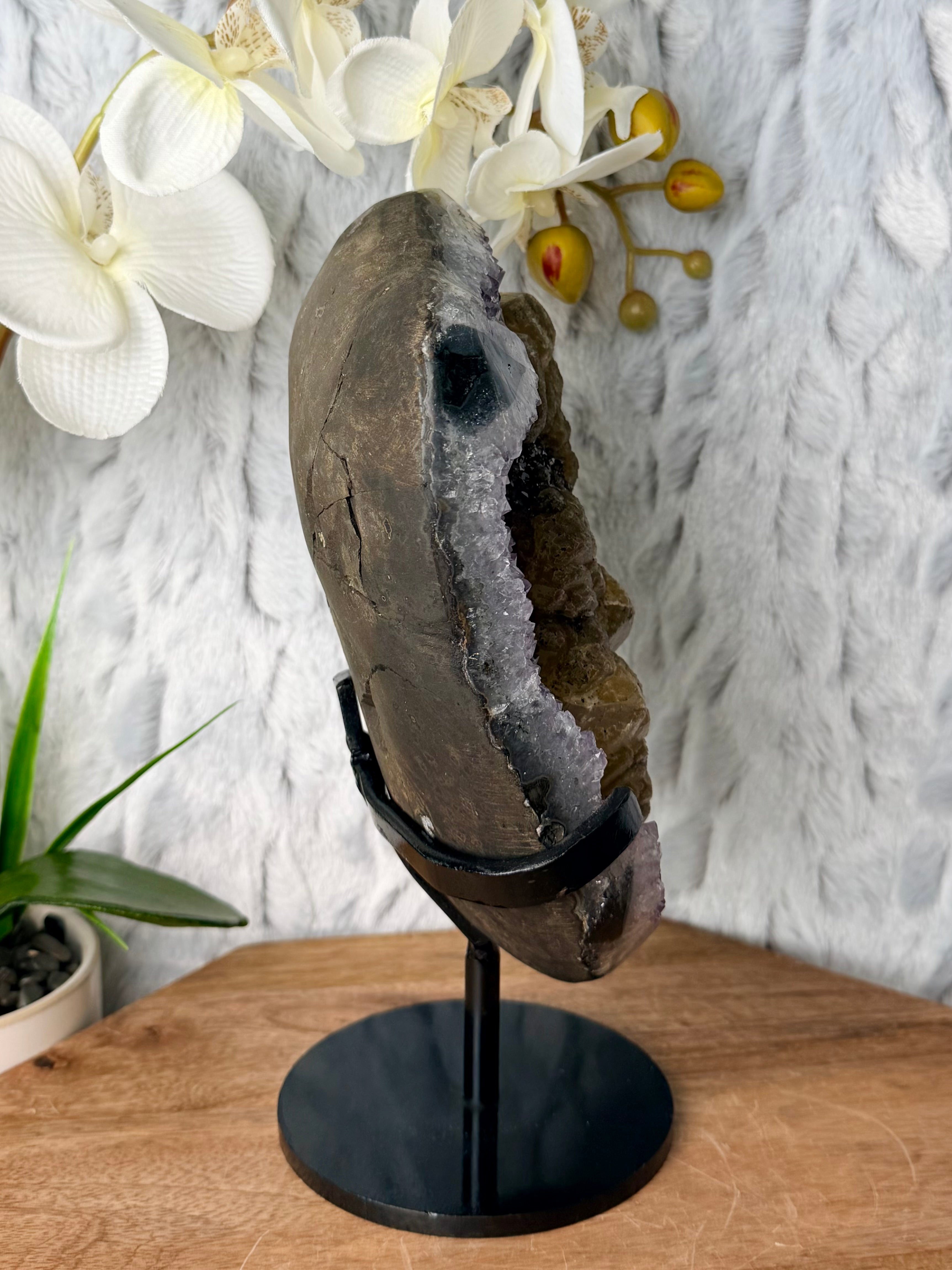 Large Uruguayan Amethyst with Large UV Reactive Calcite with Goethite